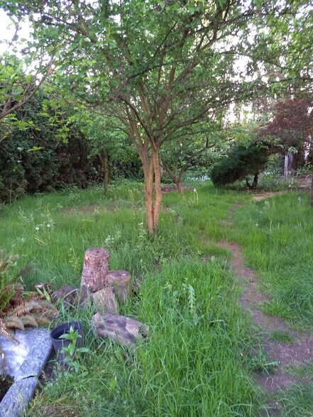 Backyard - 1530 Manor Dr