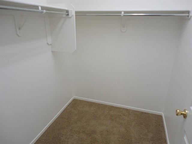 Building Photo - 18566 S Camino de las Quintas