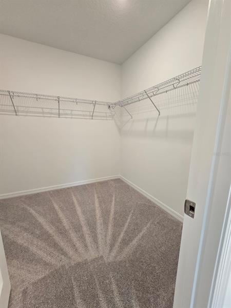 Building Photo - 1373 Addison Blf Ln