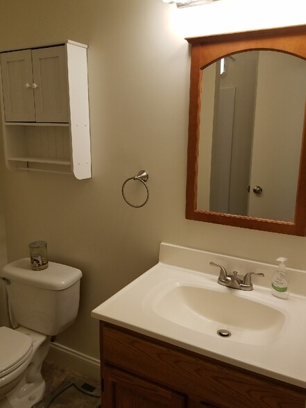 bathroom - 318 East Patrick Street