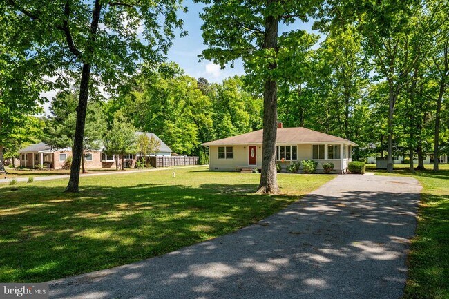 Building Photo - 117 Rebel Rd