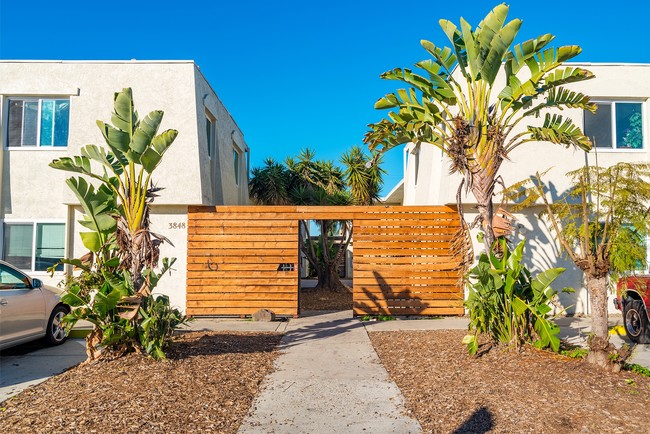 Building Photo - Courtyard Terrace