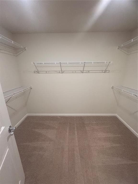 Building Photo - 6134 Bluestar Ct