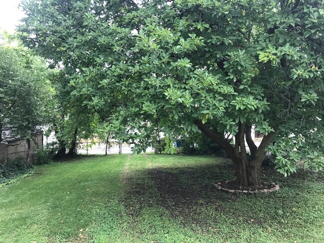 Building Photo - 2 Bedroom Renovation near the Hill