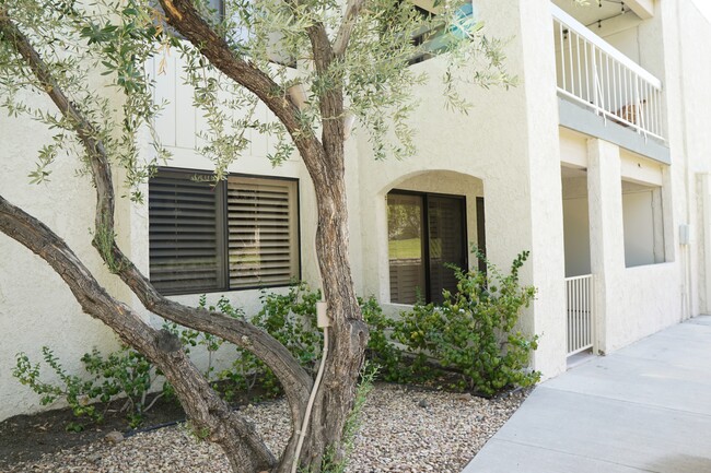 Building Photo - 353 E Via Escuela