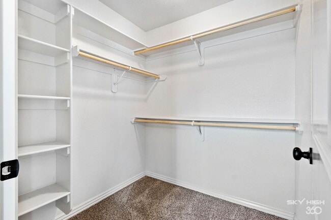 Building Photo - 3820 Williams Cove