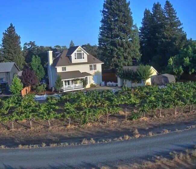 Building Photo - Pet Friendly! Walk to Downtown