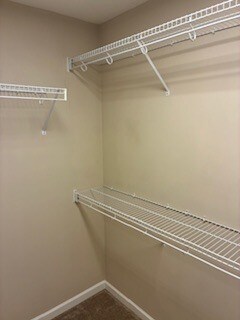 Building Photo - 4805 Poplar Crest Way