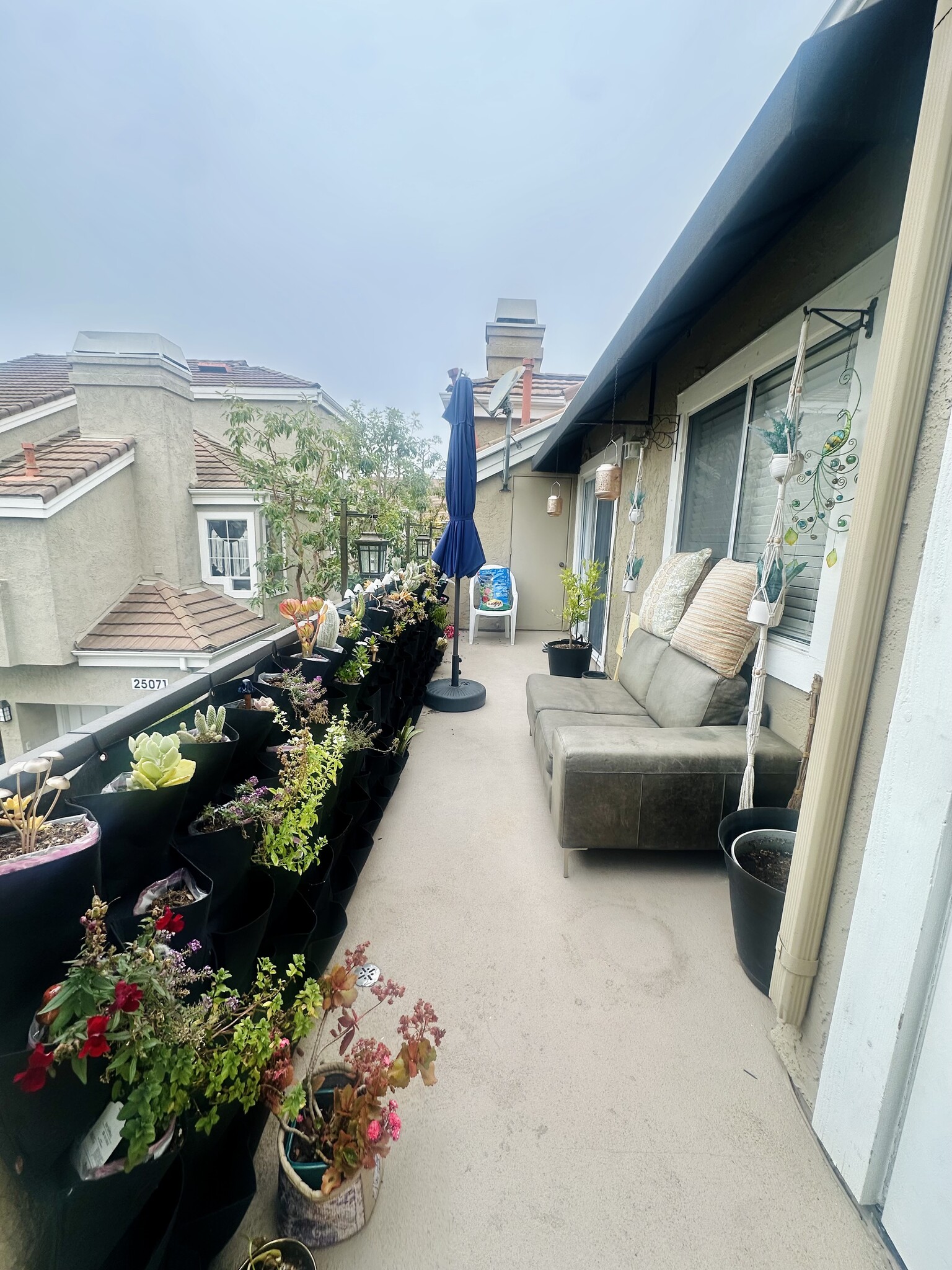 Building Photo - 25072 Leucadia St
