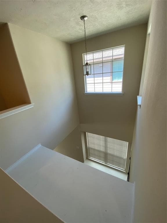 Building Photo - 295 Bloomhill Pl
