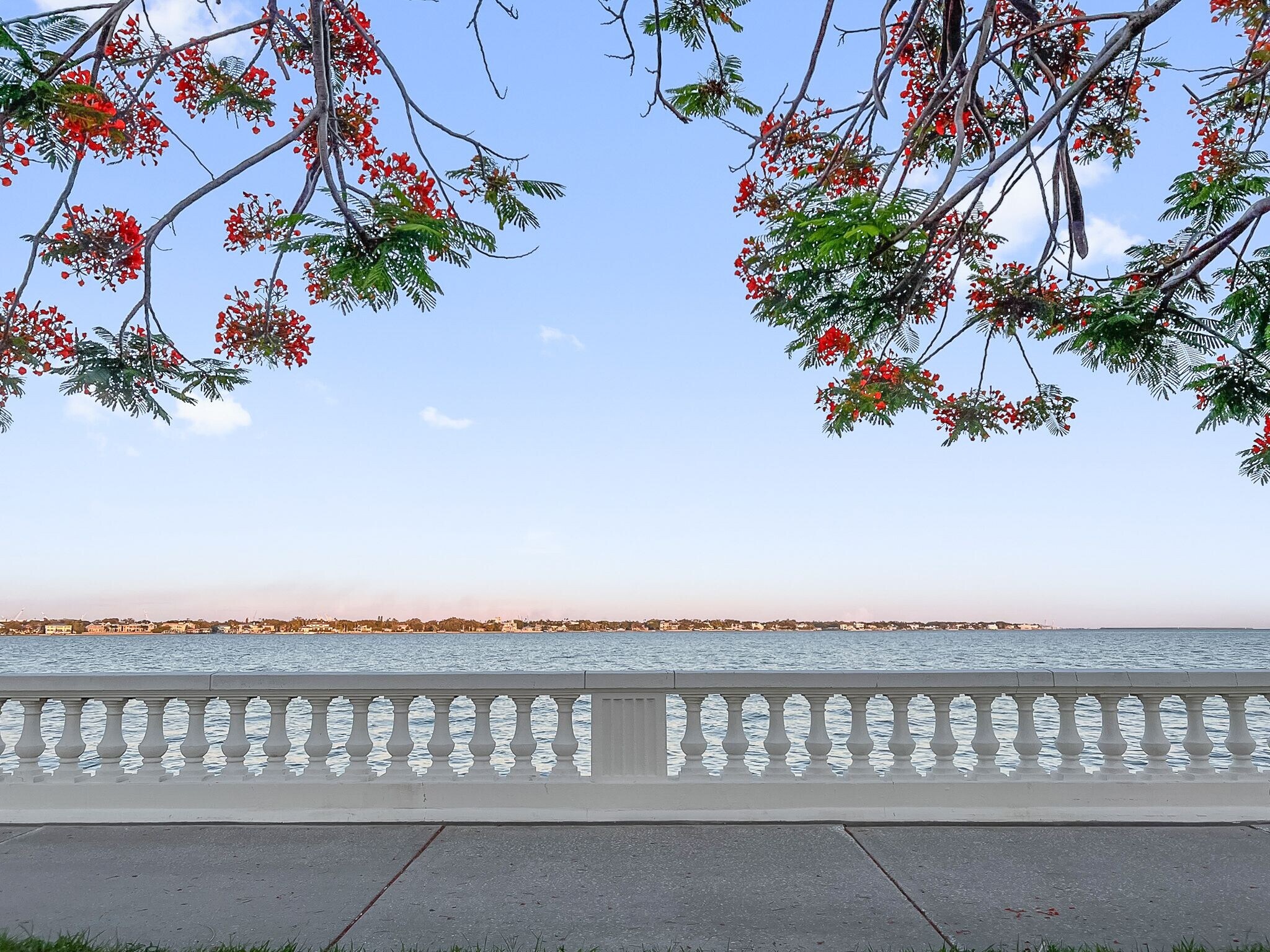 Building Photo - 2109 Bayshore Blvd