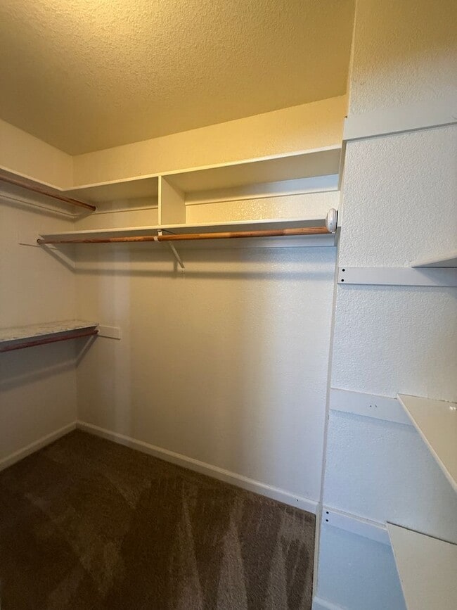 Building Photo - 532 Blarney Cir