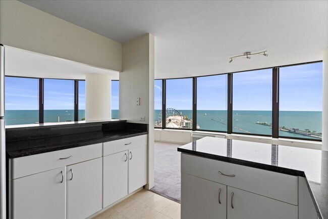 Building Photo - 505 N Lake Shore Dr