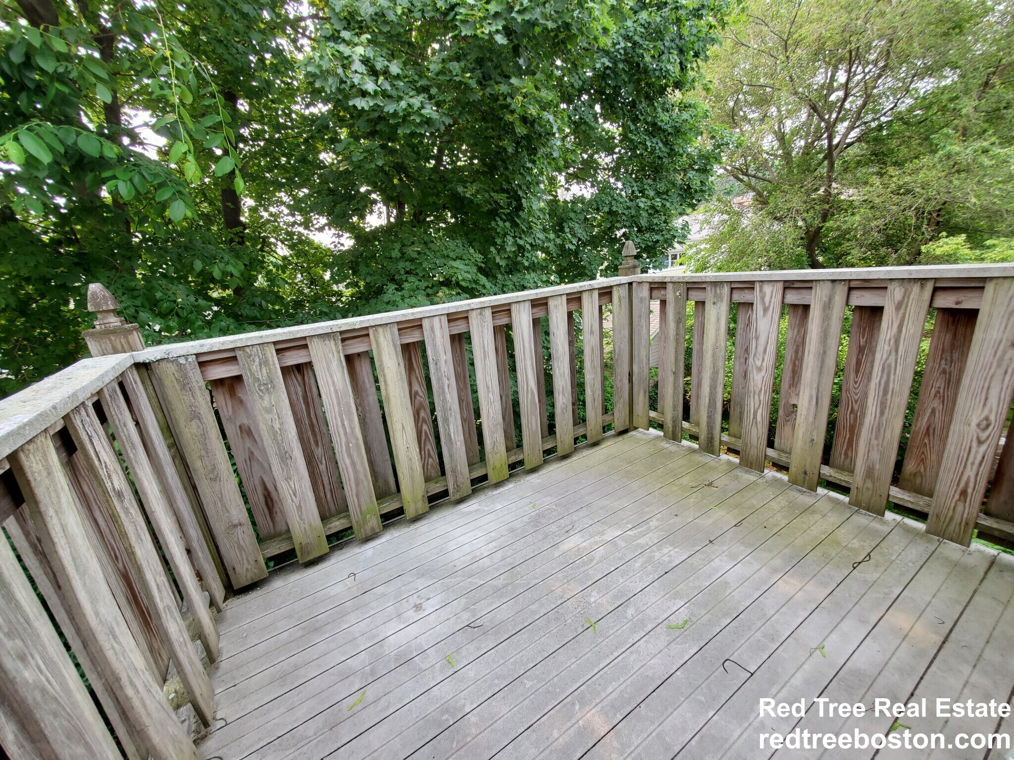 Building Photo - 254 Roslindale Ave