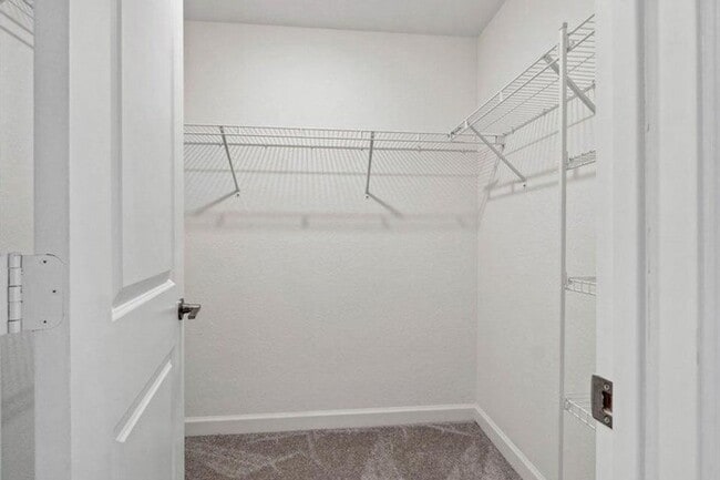 Building Photo - 4159 Lagoon Shore Dr