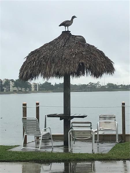 Building Photo - 111 Lake Emerald Dr