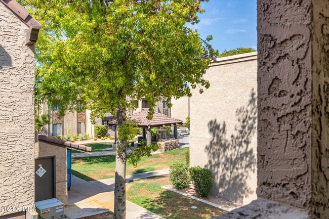 Building Photo - Beautiful Scottsdale 1 Bedroom Apartment!