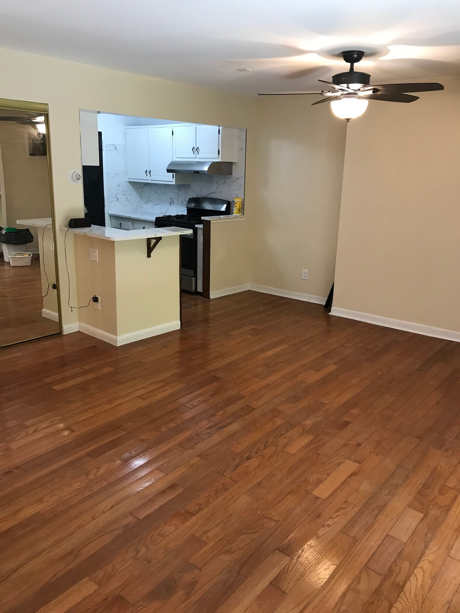 LIVING/KITCHEN - 226 Catharine St