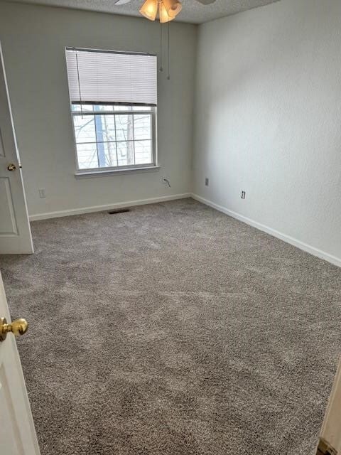 Building Photo - 2820 Saw Palmetto Ln