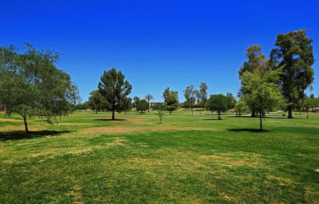 Building Photo - 1211 N Miller Rd