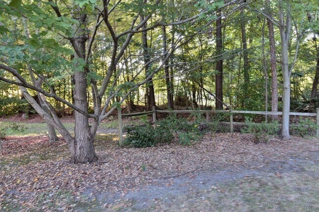 Building Photo - Beautiful Home on Quiet Cul-de-sac