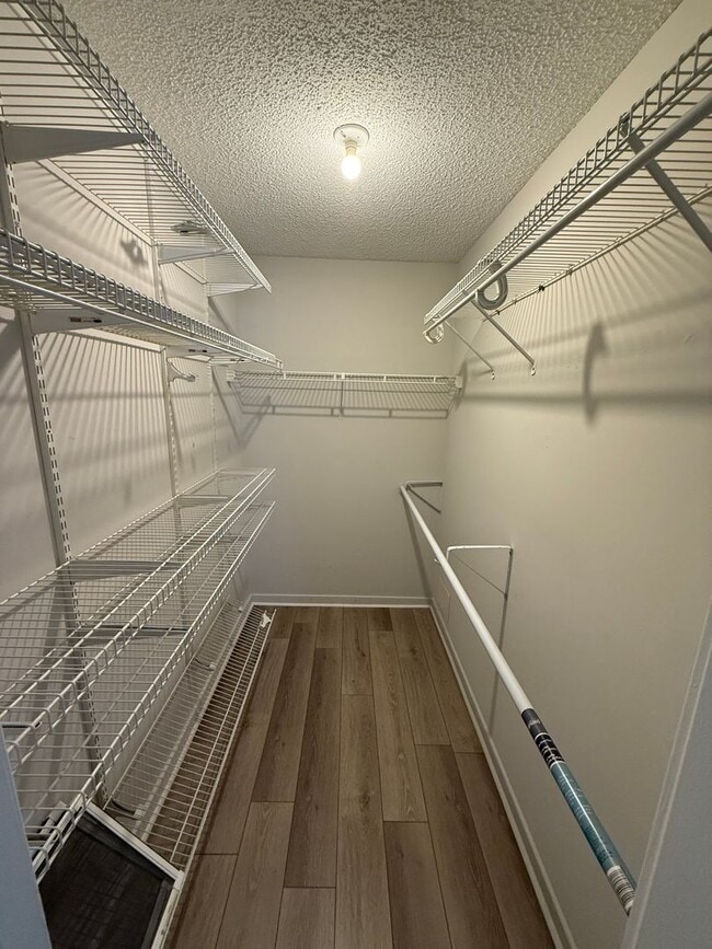 Building Photo - Central Mount Pleasant Ranch