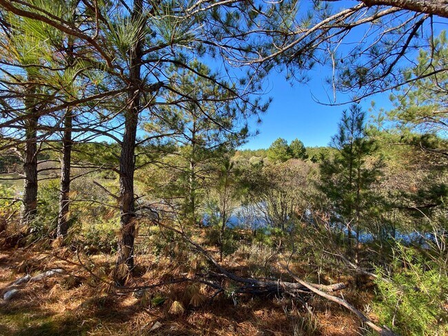 Building Photo - Home for Rent in Brookwood, AL! COMING SOO...