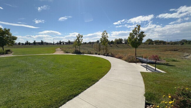 Building Photo - Great Townhome in Timnath Lakes