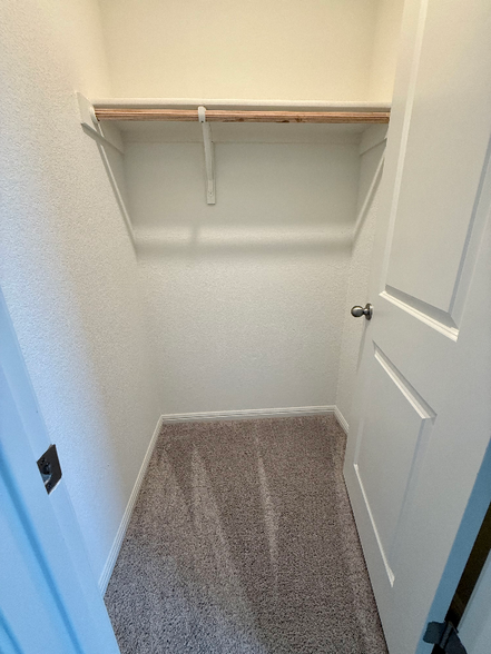 Building Photo - 107 Waterbuck Lp