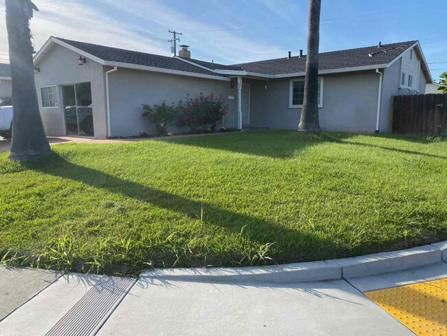 Building Photo - 100 Novato Dr