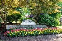 Building Photo - The Bluffs at Mountain Park