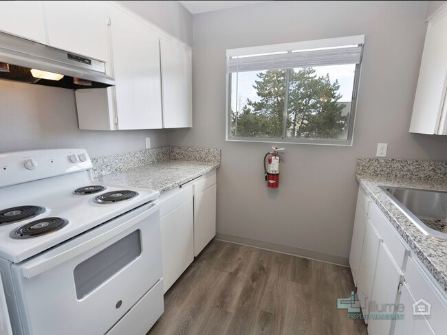 Building Photo - CUPID’S CONCESSION, 4-WEEKS RENT FREE!