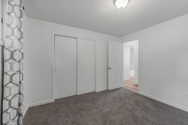 Building Photo - New Remodel 3 bed 1 bath (partial finished basement)