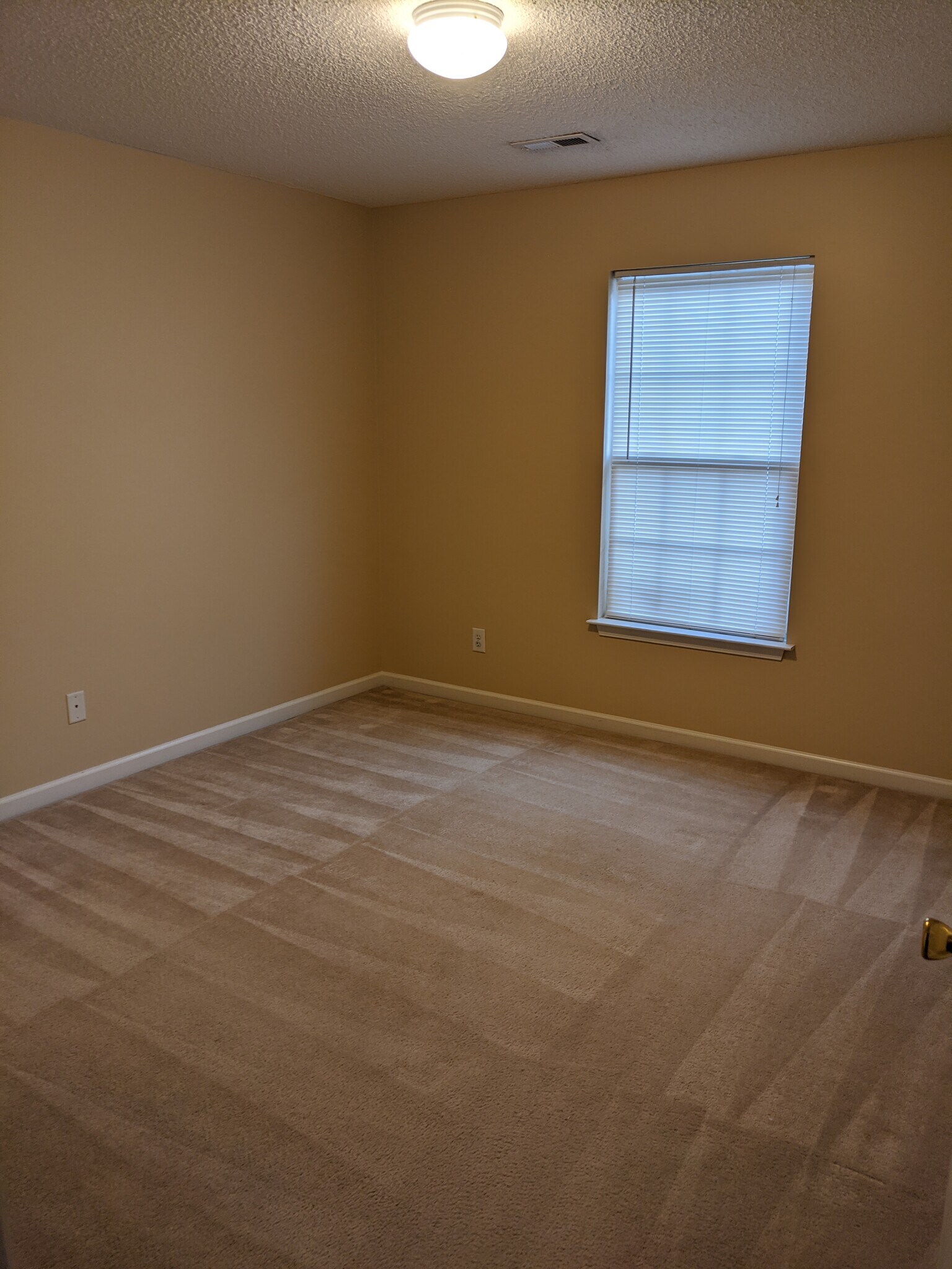 Building Photo - 4502 Camden Ridge Dr