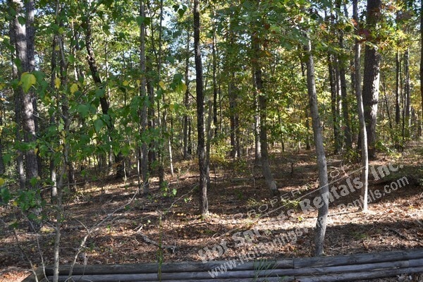 Building Photo - Carmona Area | Home | 71ColLWy