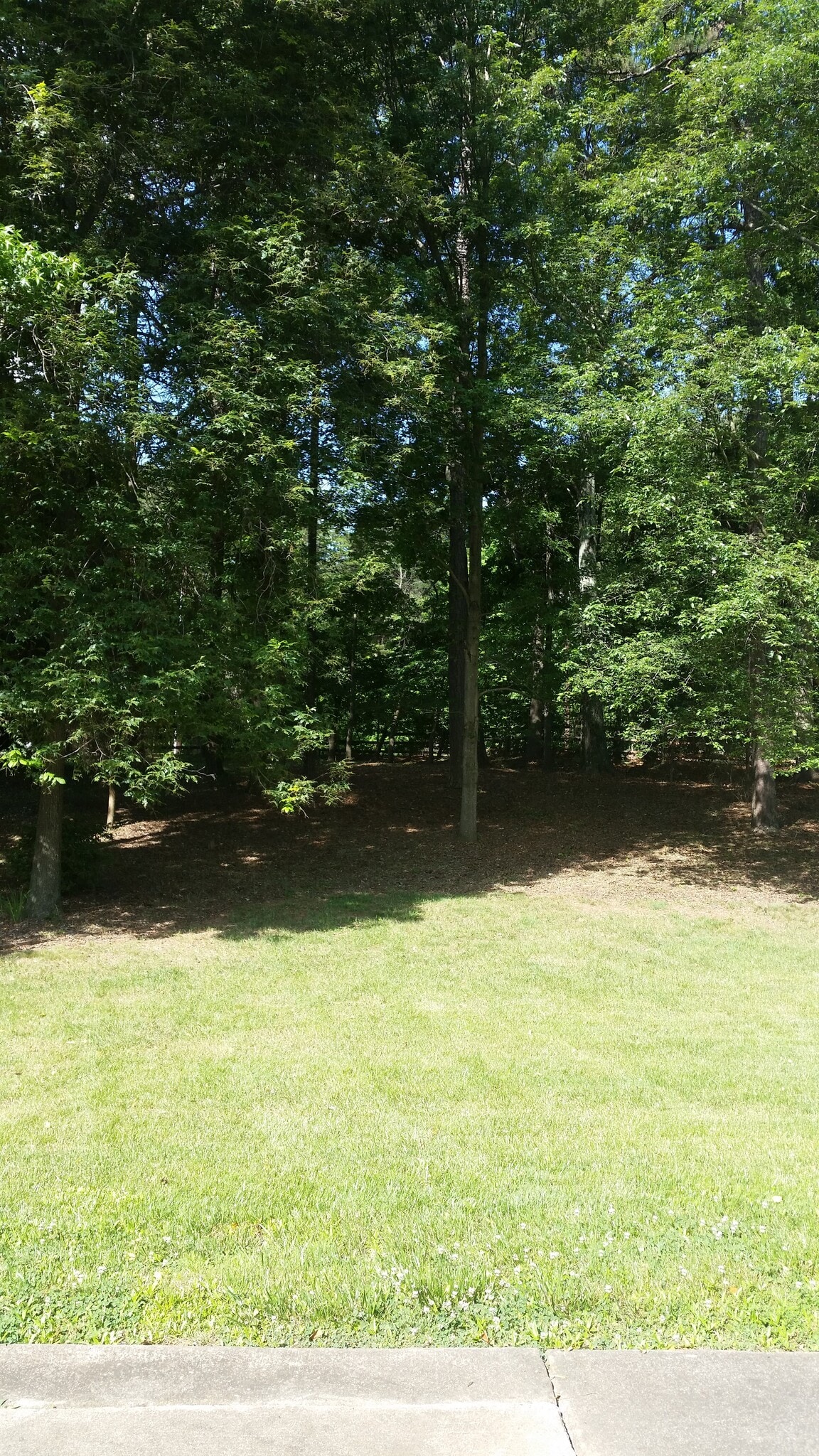 Rear Yard 2 - 5912 Carriage Oaks Dr