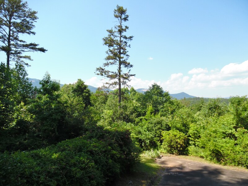 Building Photo - 2638 Table Rock Rd