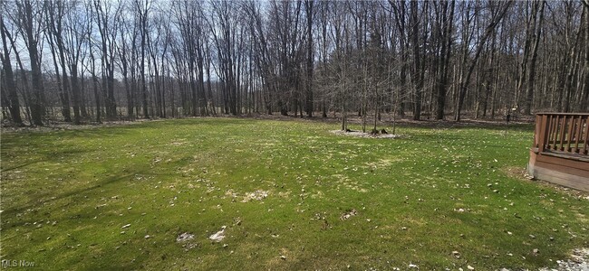 Primary Photo - 17820 Brittany Woods Dr