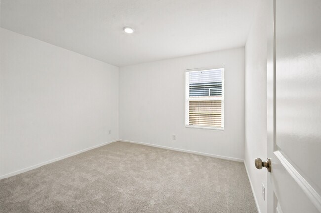 Building Photo - 702 Umbrella Tree Dr