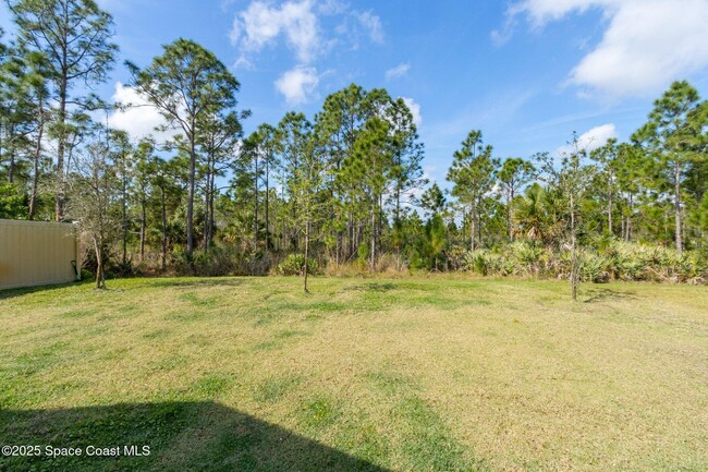 Building Photo - 4268 Alligator Flag Cir