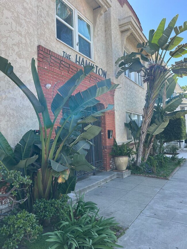 Building Photo - Oceanview Two Bedroom Apartment with Laund...