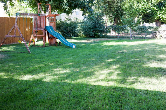 Backyard area - 1497 W 1850 N