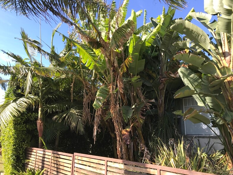 Building Photo - 1057 E Main St