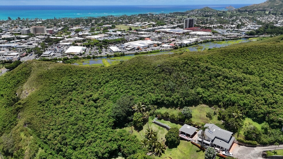 Building Photo - 1005 Kailua Rd