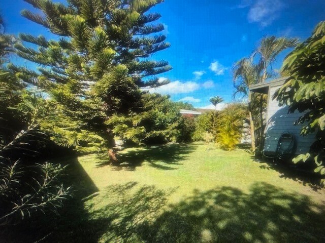 back yard - 13 Waikalani Pl