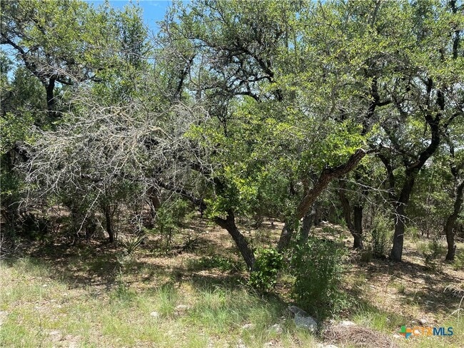 Building Photo - 1131 Rocky Ridge Loop