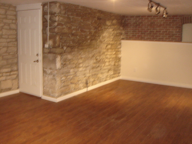 Expose Bricks/Stones - 232 S Monroe Ave