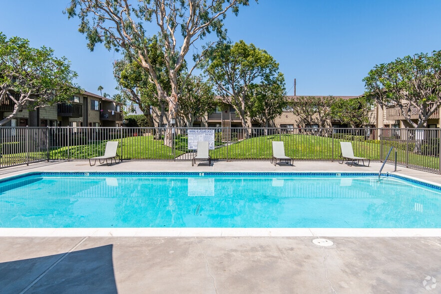 Pool and Spa - Westlake Village