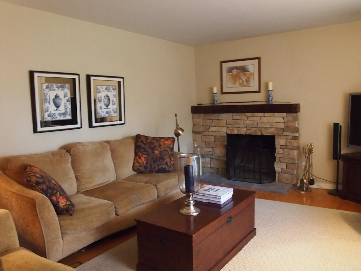living room - 3065 Shelley Lynn Dr