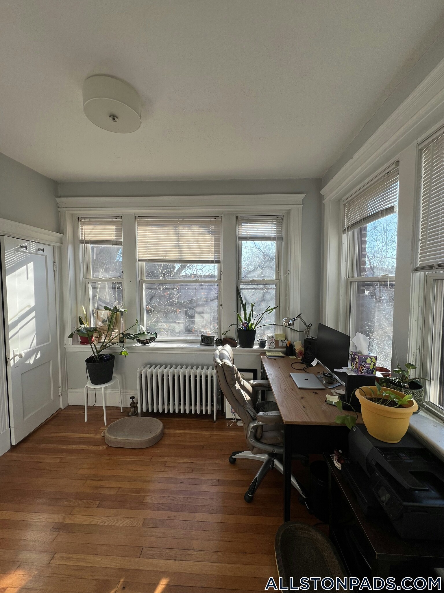 Building Photo - 26 Park Vale Ave